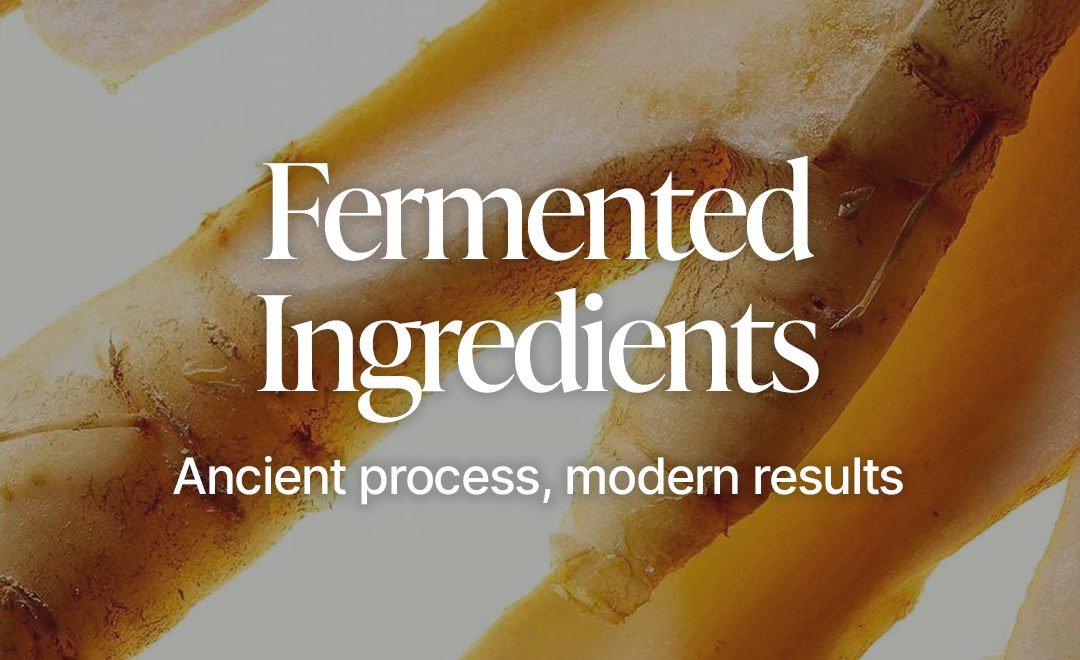 Fermented Ingredients